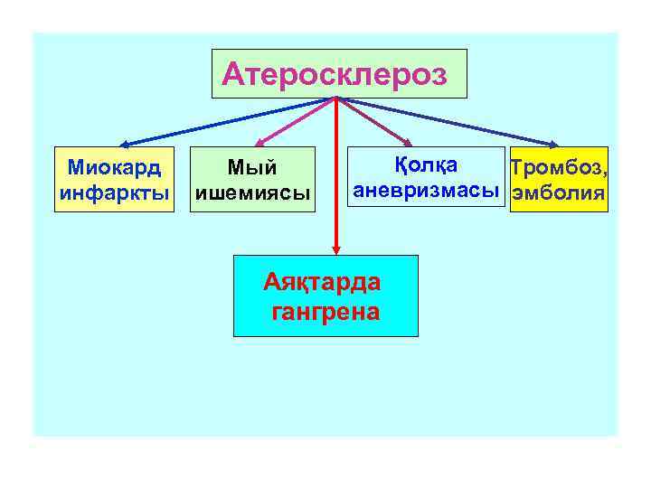 Атеросклероз Миокард инфаркты Мый ишемиясы Қолқа Тромбоз, аневризмасы эмболия Аяқтарда гангрена 