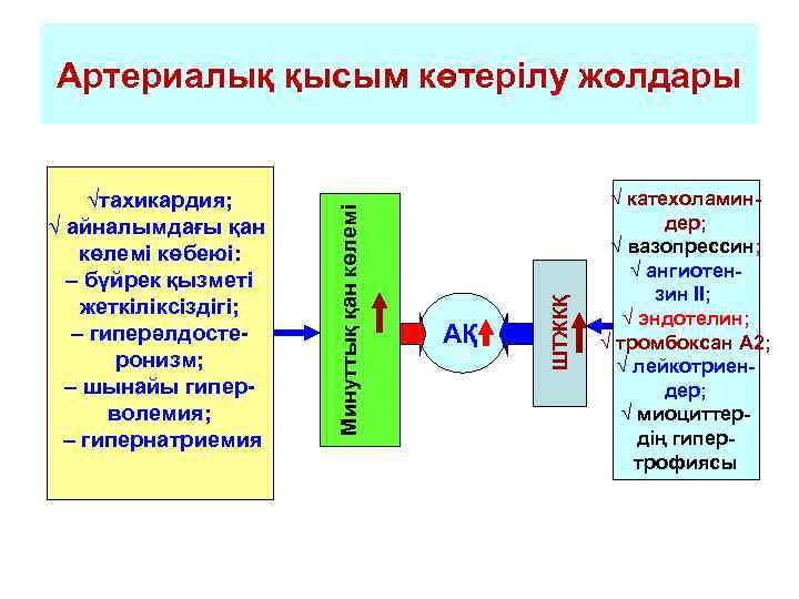 АҚ ШТЖКҚ √тахикардия; √ айналымдағы қан көлемі көбеюі: – бүйрек қызметі жеткіліксіздігі; – гиперәлдостеронизм;