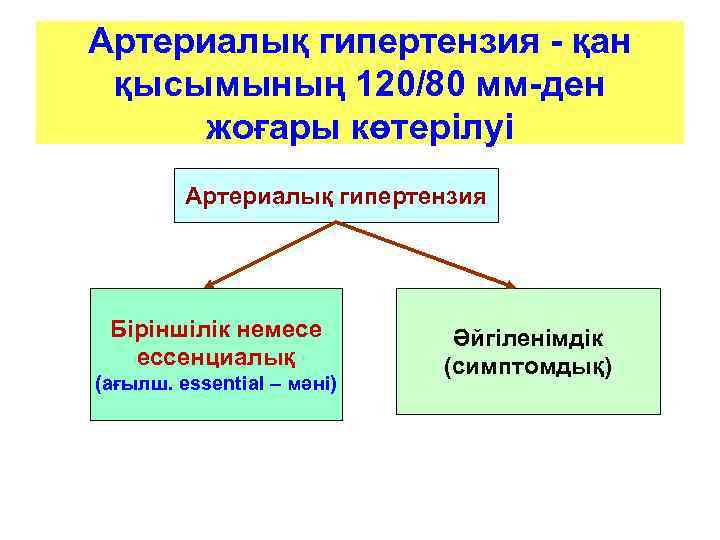 Артериалық гипертензия - қан қысымының 120/80 мм-ден жоғары көтерілуі Артериалық гипертензия Біріншілік немесе ессенциалық