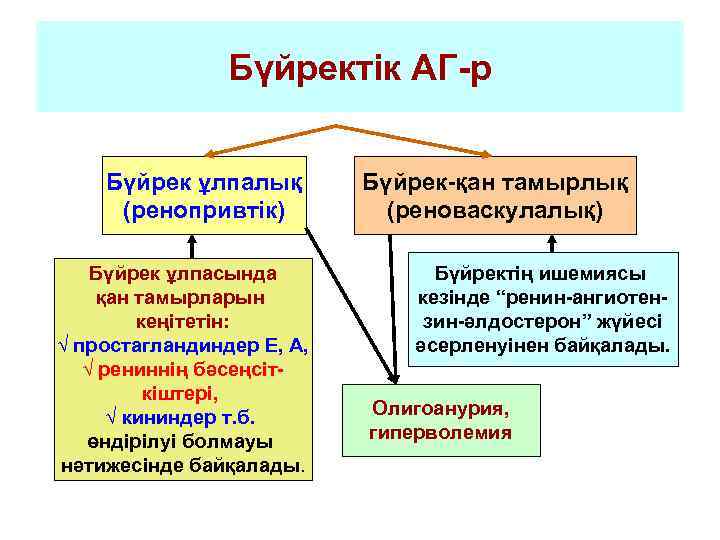 Бүйректік АГ-р Бүйрек ұлпалық (ренопривтік) Бүйрек ұлпасында қан тамырларын кеңітетін: √ простагландиндер Е, А,