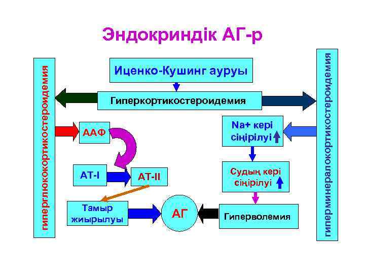 Иценко-Кушинг ауруы Гиперкортикостероидемия Na+ кері сіңірілуі ААФ АТ-I Тамыр жиырылуы Судың кері сіңірілуі АТ-II