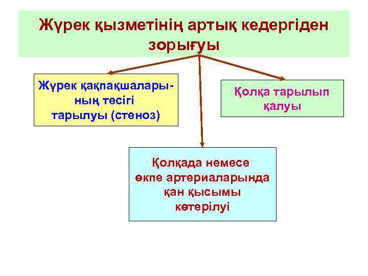 Жүрек қызметінің артық кедергіден зорығуы Жүрек қақпақшаларының тесігі тарылуы (стеноз) Қолқа тарылып қалуы Қолқада