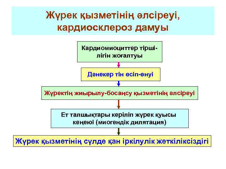 Жүрек қызметінің әлсіреуі, кардиосклероз дамуы Кардиомиоциттер тіршілігін жоғалтуы Дәнекер тін өсіп-өнуі Жүректің жиырылу-босаңсу қызметінің