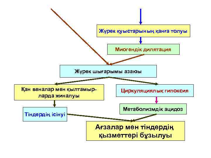 Жүрек қуыстарының қанға толуы Миогендік дилятация Жүрек шығарымы азаюы Қан веналар мен қылтамырларда жиналуы