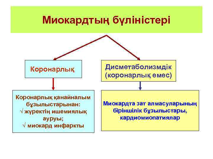 Миокардтың бүліністері Коронарлық қанайналым бұзылыстарынан: √ жүректің ишемиялық ауруы; √ миокард инфаркты Дисметаболизмдік (коронарлық