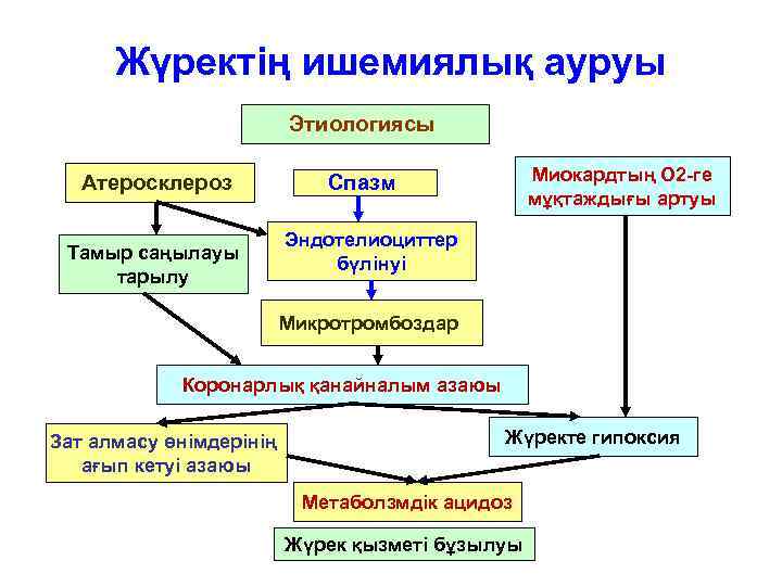 Жүректің ишемиялық ауруы Этиологиясы Атеросклероз Тамыр саңылауы тарылу Миокардтың О 2 -ге мұқтаждығы артуы