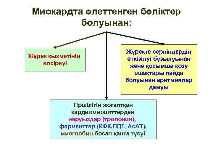 Миокардта өлеттенген бөліктер болуынан: Жүрек қызметінің әлсіреуі Жүректе серпіндердің өткізілуі бұзылуынан және қосымша қозу