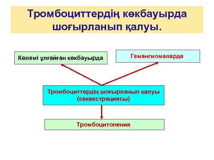 Тромбоциттердің көкбауырда шоғырланып қалуы. Көлемі ұлғайған көкбауырда Гемангиомаларда Тромбоциттердің шоғырланып қалуы (секвестрациясы) Тромбоцитопения 