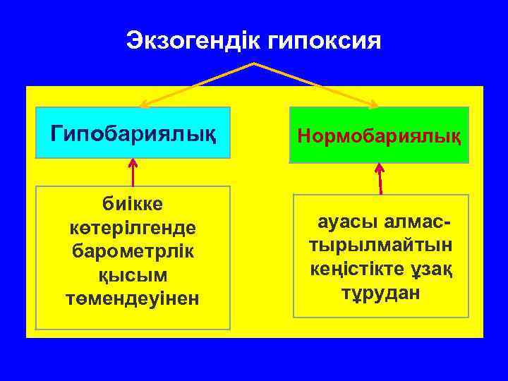 Экзогендік гипоксия Гипобариялық Нормобариялық биікке көтерілгенде барометрлік қысым төмендеуінен ауасы алмастырылмайтын кеңістікте ұзақ тұрудан
