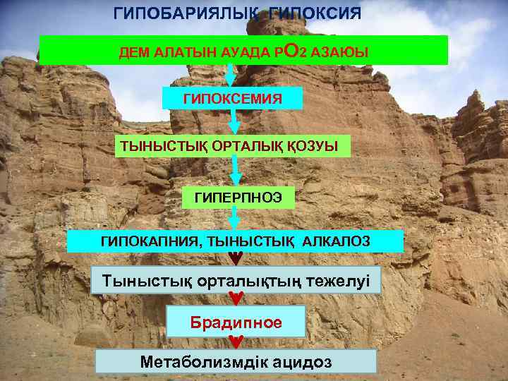ГИПОБАРИЯЛЫҚ ГИПОКСИЯ ДЕМ АЛАТЫН АУАДА РО 2 АЗАЮЫ ГИПОКСЕМИЯ ТЫНЫСТЫҚ ОРТАЛЫҚ ҚОЗУЫ ГИПЕРПНОЭ ГИПОКАПНИЯ,