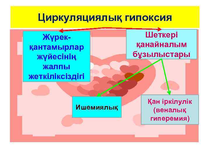 Циркуляциялық гипоксия Жүрекқантамырлар жүйесінің жалпы жеткіліксіздігі Ишемиялық Шеткері қанайналым бұзылыстары Қан іркілулік (веналық гиперемия)