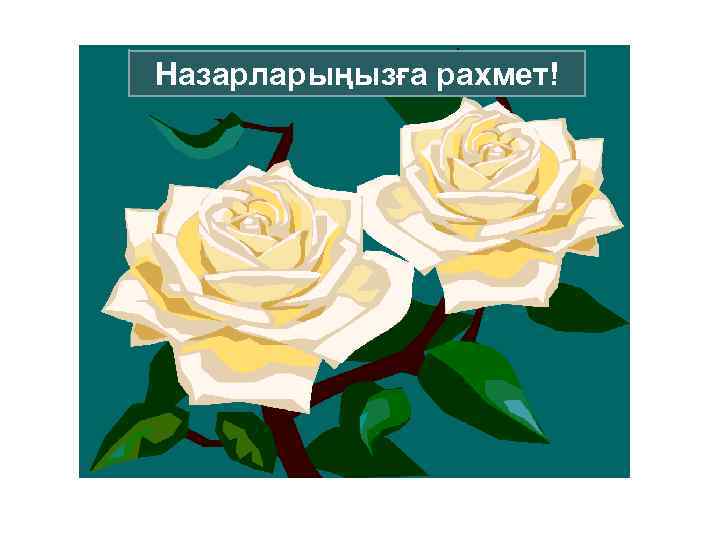 Назарларыңызға рахмет! 