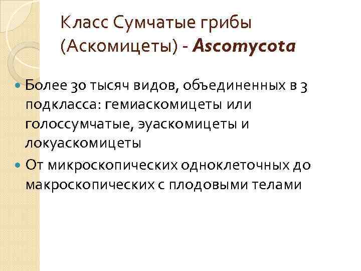 Класс Сумчатые грибы (Аскомицеты) - Ascomycota Более 30 тысяч видов, объединенных в 3 подкласса: