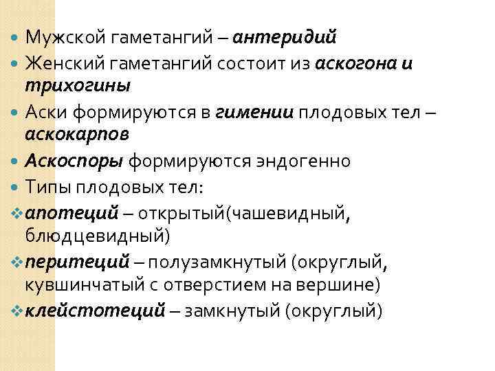 Мужской гаметангий – антеридий Женский гаметангий состоит из аскогона и трихогины Аски формируются в