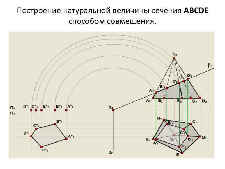 Натуральная величина размера