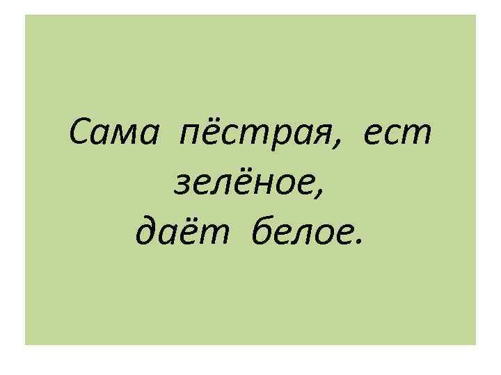 Сама пёстрая, ест зелёное, даёт белое. 
