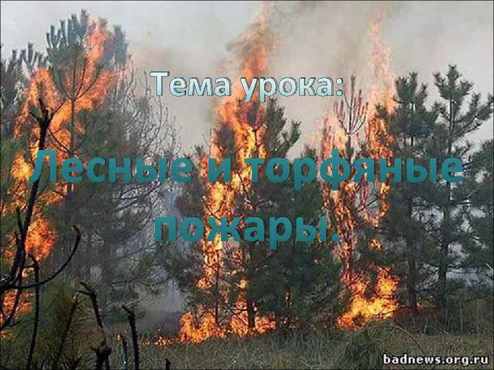 Тема урока: Лесные и торфяные пожары. . 