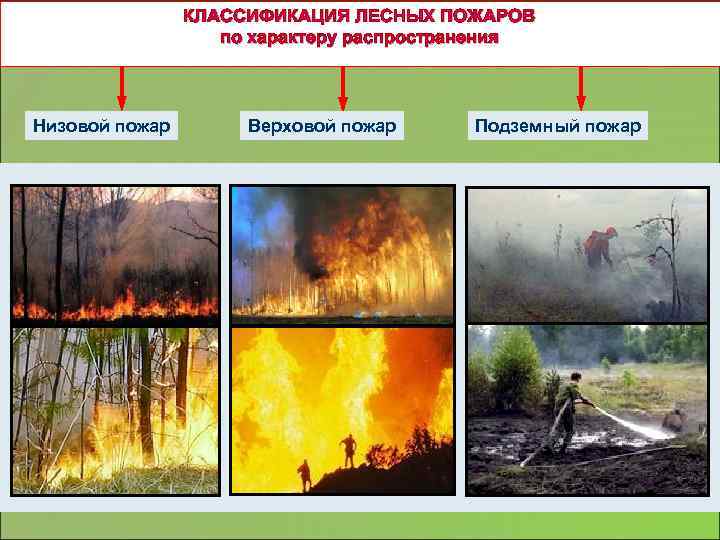 КЛАССИФИКАЦИЯ ЛЕСНЫХ ПОЖАРОВ по характеру распространения Низовой пожар Верховой пожар Подземный пожар 