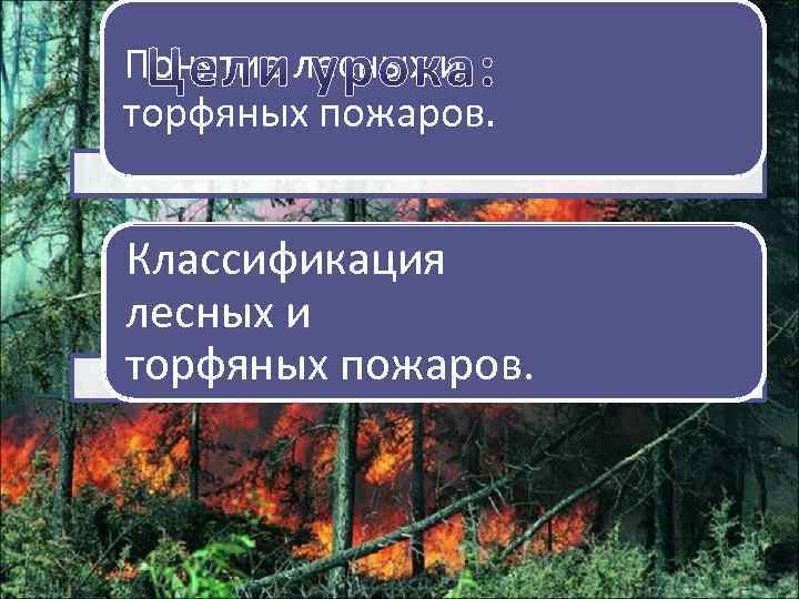 Понятие лесных и торфяных пожаров. Классификация лесных и торфяных пожаров. 