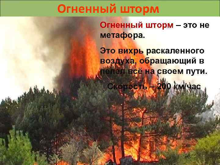Огненный шторм – это не метафора. Это вихрь раскаленного воздуха, обращающий в пепел всё