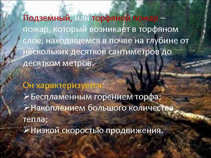 Подземный, или торфяной пожар – пожар, который возникает в торфяном слое, находящемся в почве
