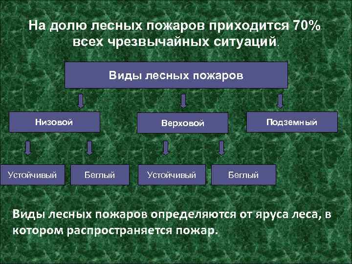 На долю лесных пожаров приходится 70% всех чрезвычайных ситуаций. Виды лесных пожаров Низовой Устойчивый