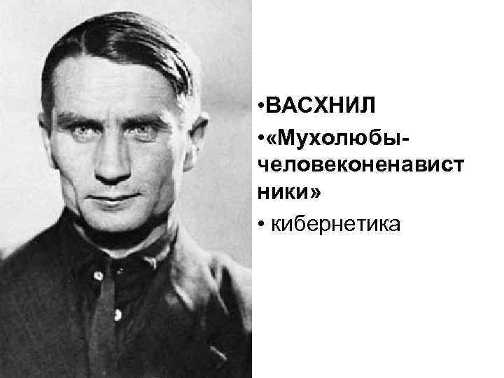  • ВАСХНИЛ • «Мухолюбычеловеконенавист ники» • кибернетика 