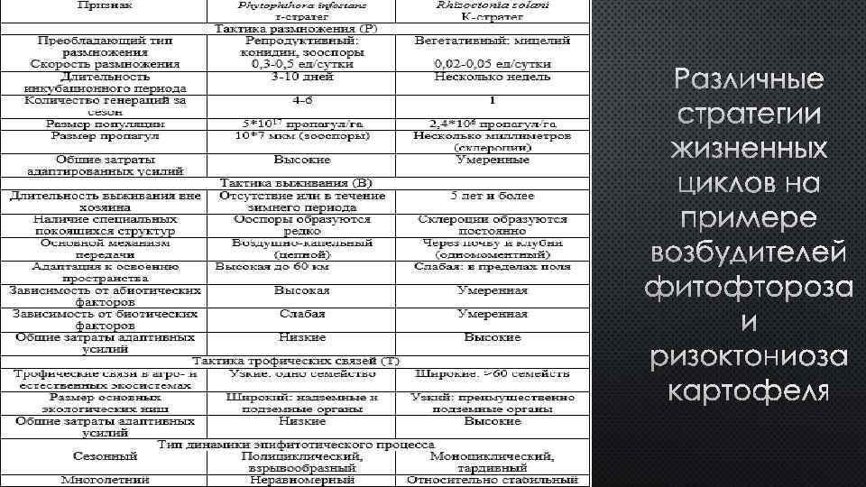 Различные стратегии жизненных циклов на примере возбудителей фитофтороза и ризоктониоза картофеля 