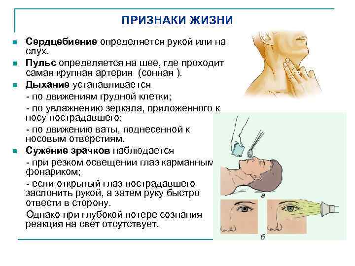 ПРИЗНАКИ ЖИЗНИ Сердцебиение определяется рукой или на слух. n Пульс определяется на шее, где