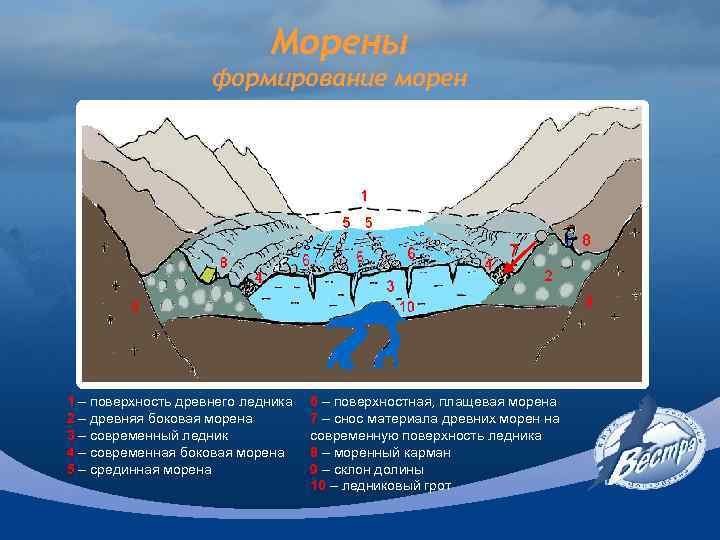 Морены формирование морен 7 1 – поверхность древнего ледника 2 – древняя боковая морена