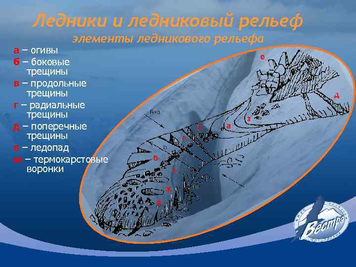 Ледники и ледниковый рельеф элементы ледникового рельефа а – огивы б – боковые трещины
