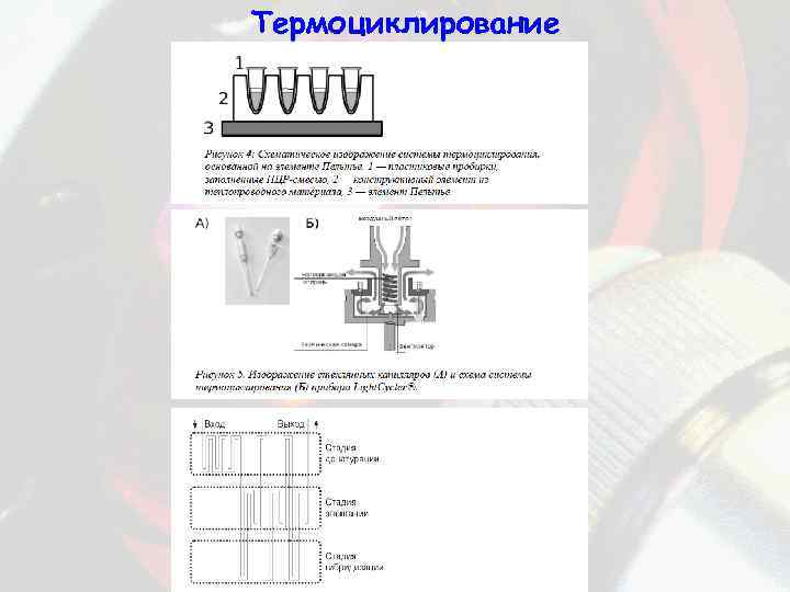 Термоциклирование 