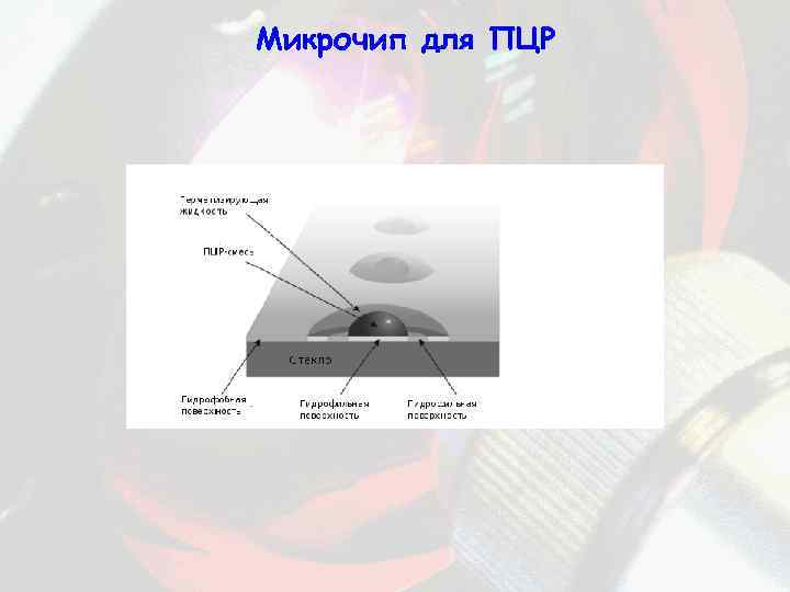 Микрочип для ПЦР 