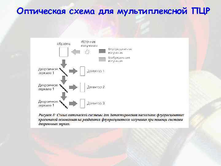 Оптическая схема для мультиплексной ПЦР 