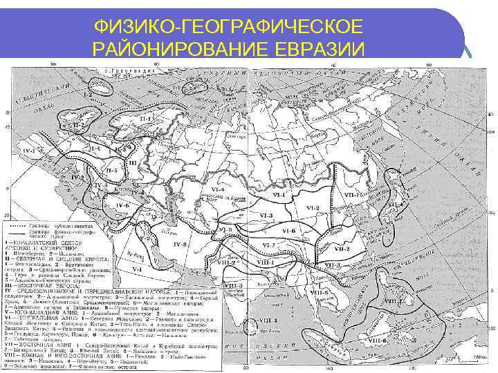 ФИЗИКО-ГЕОГРАФИЧЕСКОЕ РАЙОНИРОВАНИЕ ЕВРАЗИИ 