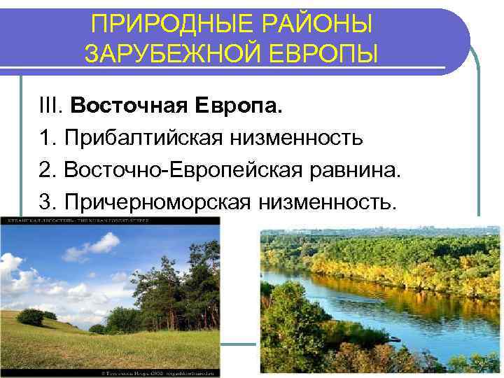 ПРИРОДНЫЕ РАЙОНЫ ЗАРУБЕЖНОЙ ЕВРОПЫ III. Восточная Европа. 1. Прибалтийская низменность 2. Восточно-Европейская равнина. 3.