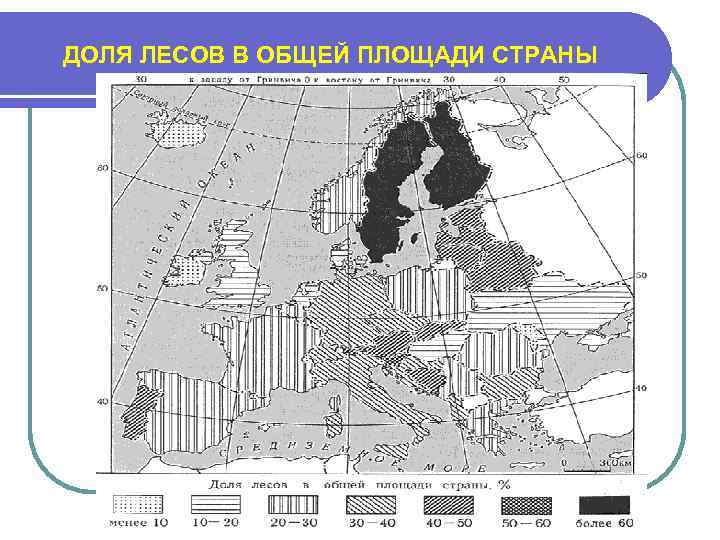 ДОЛЯ ЛЕСОВ В ОБЩЕЙ ПЛОЩАДИ СТРАНЫ 