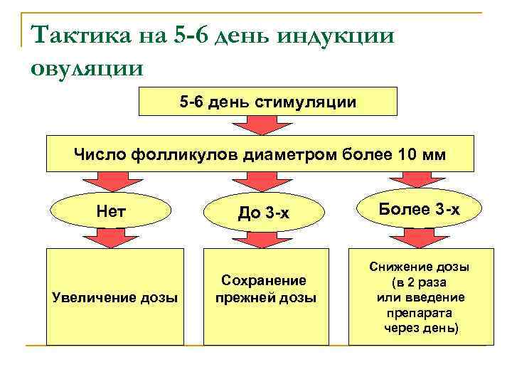 Тактика на 5 -6 день индукции овуляции 5 -6 день стимуляции Число фолликулов диаметром