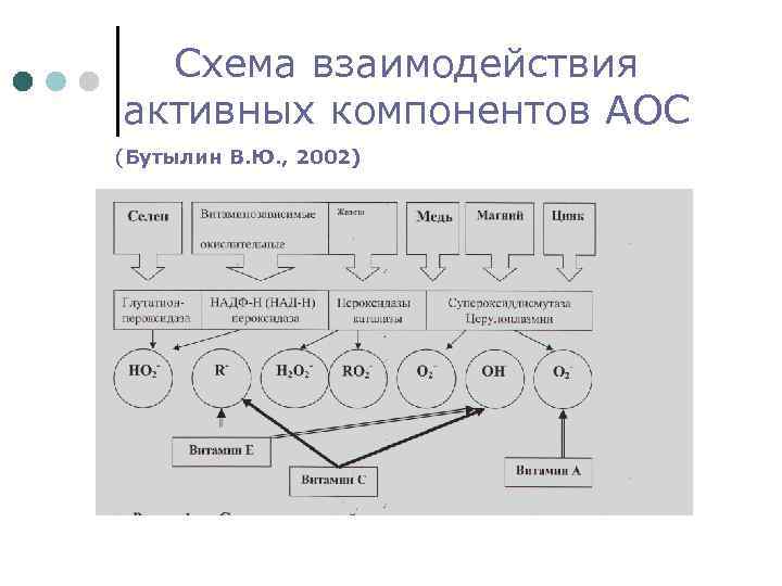 Схема взаимодействия активных компонентов АОС (Бутылин В. Ю. , 2002) 