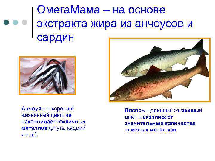 Омега. Мама – на основе экстракта жира из анчоусов и сардин Анчоусы – короткий