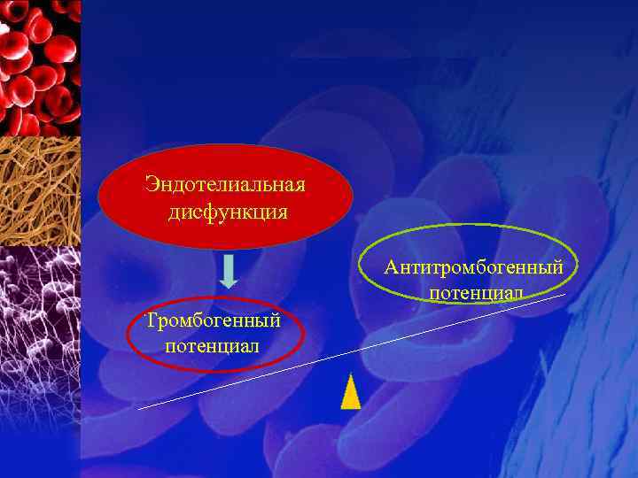 Механизм тромбогенного потенциала сосудистой стенки