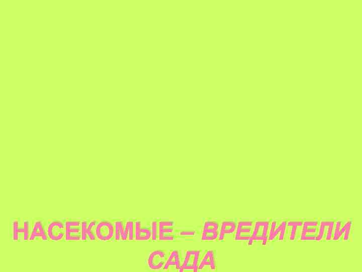 НАСЕКОМЫЕ – ВРЕДИТЕЛИ САДА 