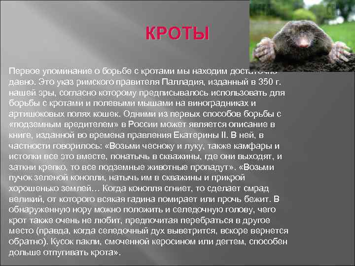 КРОТЫ Первое упоминание о борьбе с кротами мы находим достаточно давно. Это указ римского