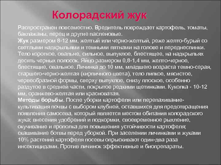Колорадский жук Распространен повсеместно. Вредитель повреждает картофель, томаты, баклажаны, перец и другие пасленовые. Жук