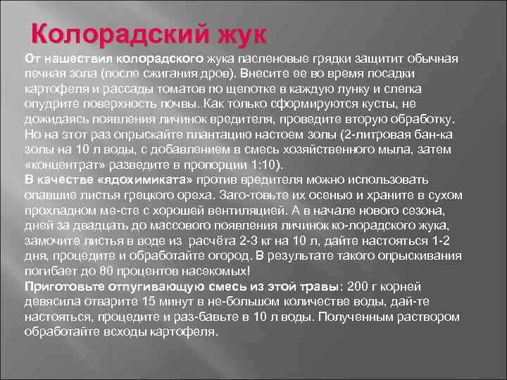 Колорадский жук От нашествия колорадского жука пасленовые грядки защитит обычная печная зола (после сжигания
