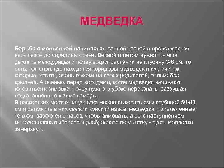 МЕДВЕДКА Борьба с медведкой начинается ранней весной и продолжается весь сезон до середины осени.