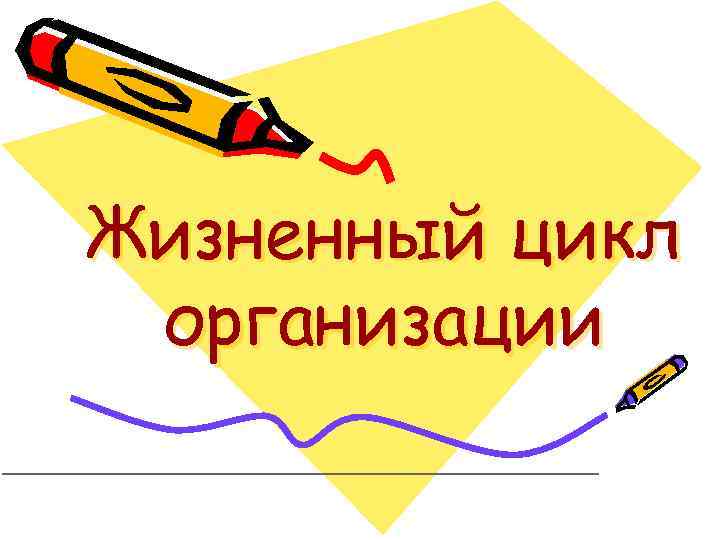 Жизненный цикл организации 