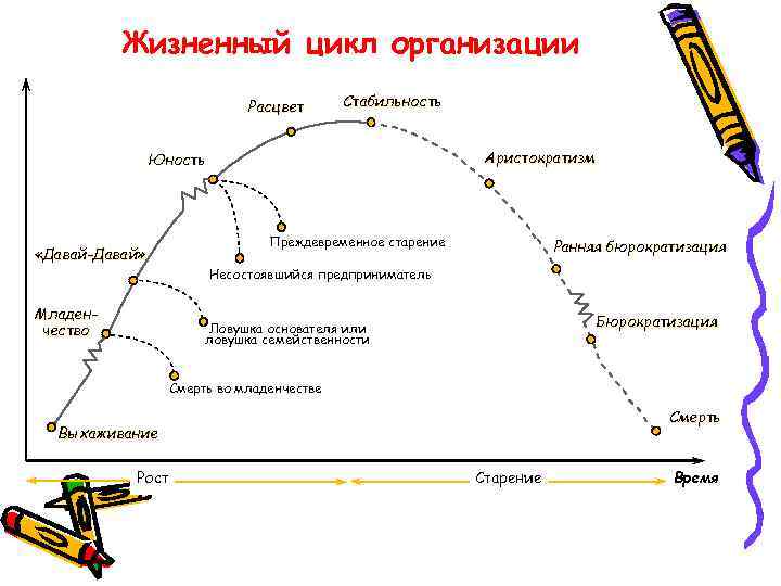 Жизненный цикл давай давай