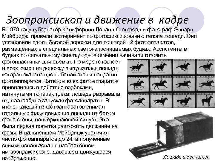 Зоопраксископ и движение в кадре В 1878 году губернатор Калифорнии Леланд Стэнфорд и фотограф