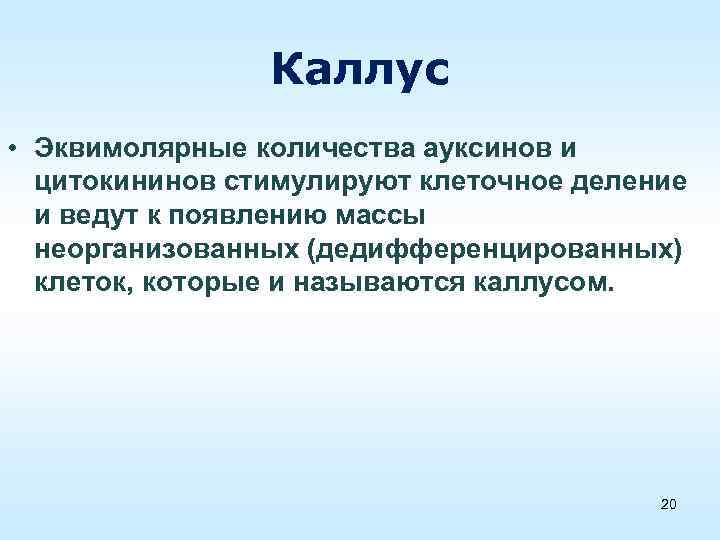 Каллус • Эквимолярные количества ауксинов и цитокининов стимулируют клеточное деление и ведут к появлению